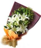 阜康鲜花速递